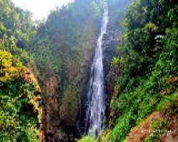 One can not only take pleasure in the crystalline, pristine water of the fall but also experience the prosperous assortment of flora and fauna in the 